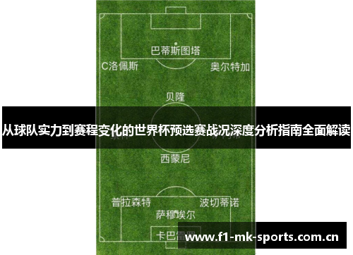 从球队实力到赛程变化的世界杯预选赛战况深度分析指南全面解读 从球队实力到赛程变化的世界杯预选赛战况深度分析指南全面解读