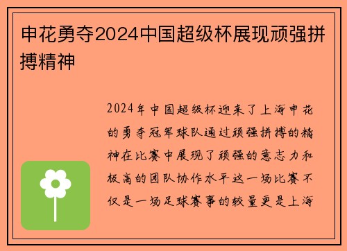 申花勇夺2024中国超级杯展现顽强拼搏精神