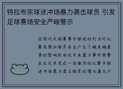 特拉布宗球迷冲场暴力袭击球员 引发足球赛场安全严峻警示 特拉布宗球迷冲场暴力袭击球员 引发足球赛场安全严峻警示